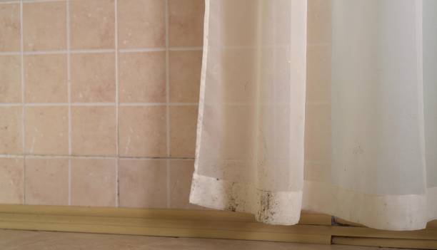 Best Emergency Mold Remediation  in Irvington, KY