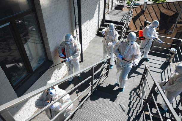 Reliable Irvington, KY Mold Removal Solutions