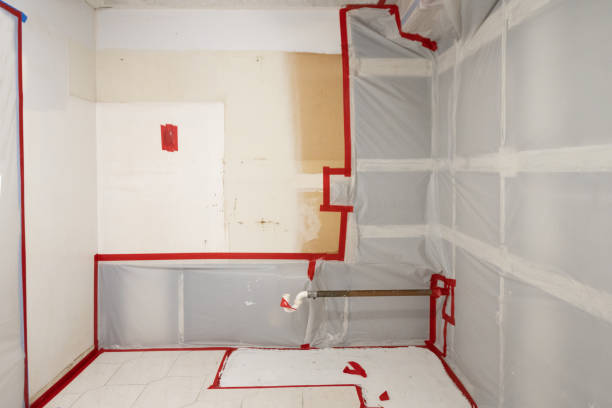 Best Industrial Mold Remediation  in Irvington, KY