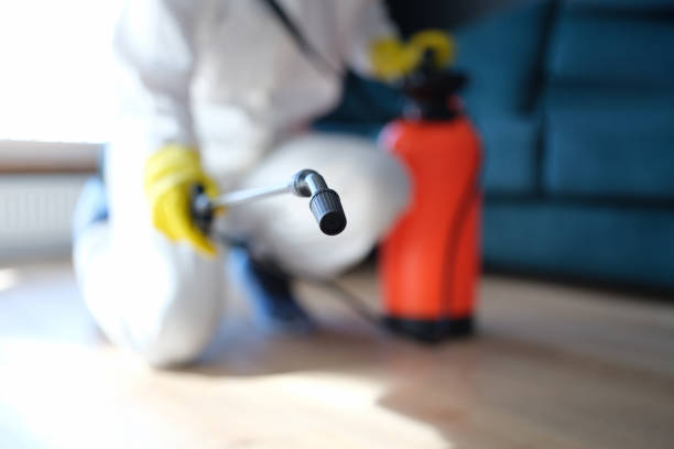 Mold Documentation for Insurance Claims in Irvington, KY