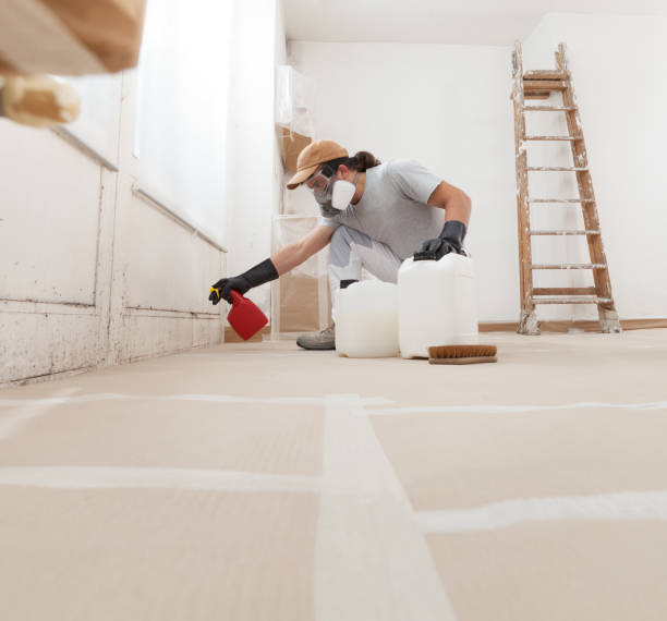 Best Biohazard Mold Removal  in Irvington, KY